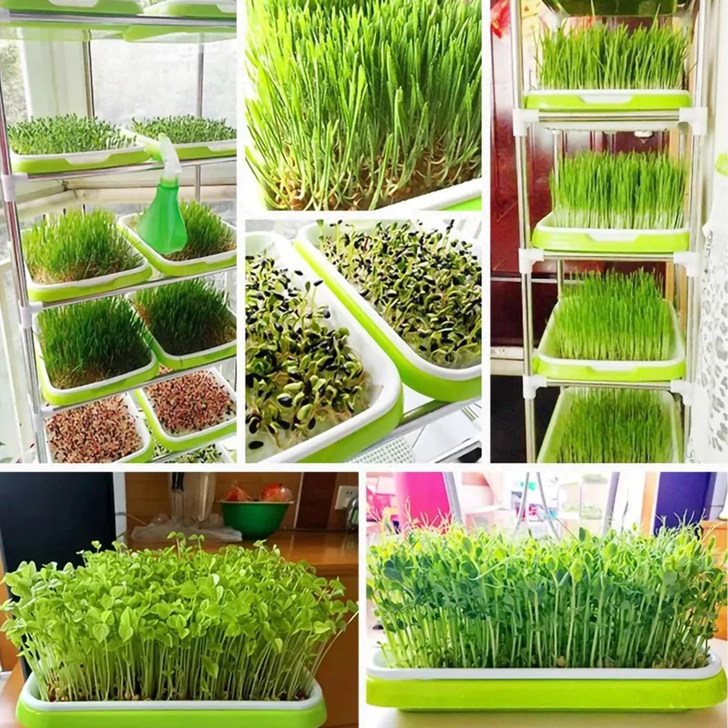 Bandeja de germinação para sistemas hidropônicos, ideal para cultivar sementes com eficiência, promovendo um crescimento saudável e acelerado das plantas.