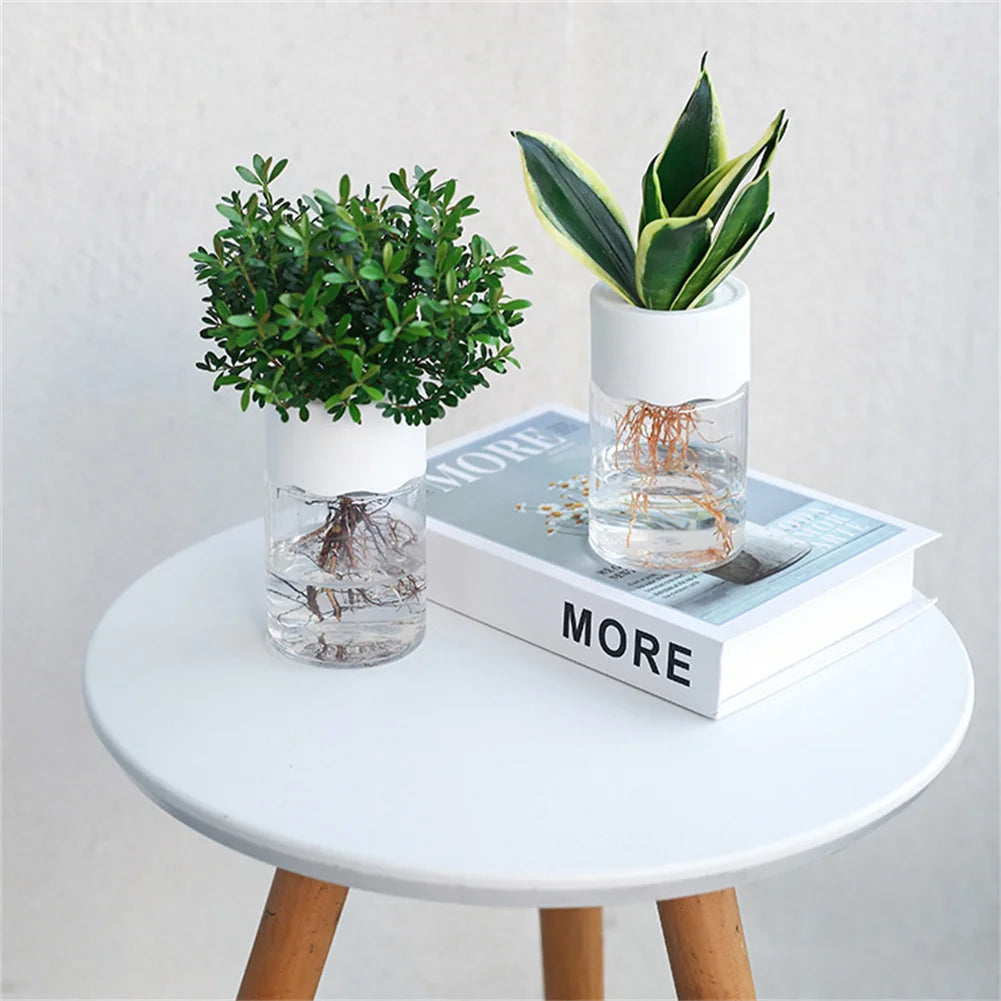 O Mini Vaso Hidropônico traz elegância à sua decoração com seu design em vidro transparente. Ideal para plantas sem solo, é fácil de cuidar e transforma qualquer ambiente!