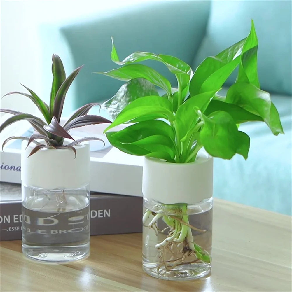 Mini Vaso Hidropônico