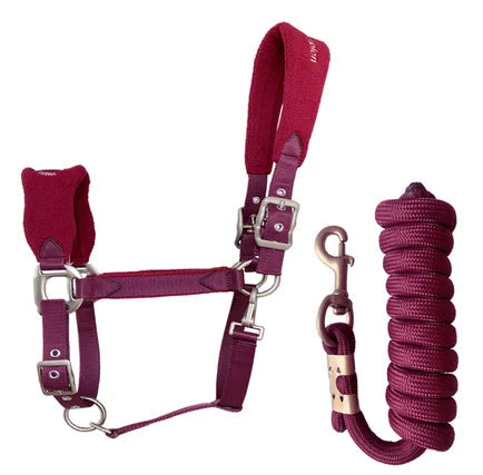 Velo polar anti-wear cavalo freio + 2m conjunto de corda de cavalo cabeça de cavalo ajustável conjunto de puxar cavalo corda combinação