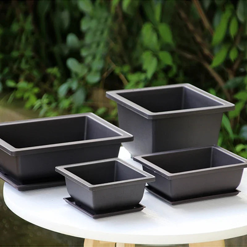 Vasos de Flores para Jardim e Paisagismo