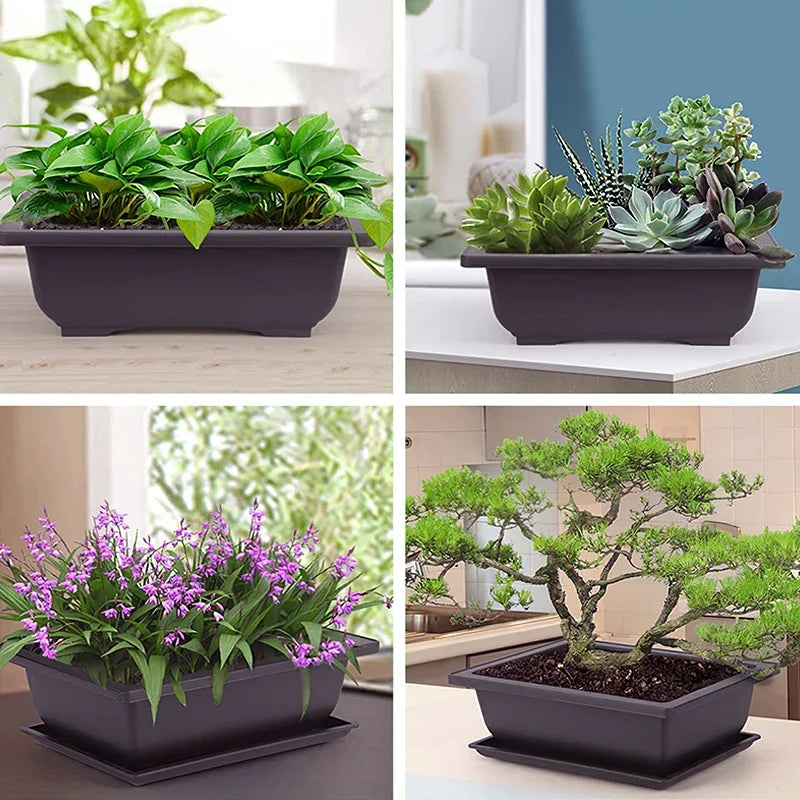 Vasos para Jardim Externo e Paisagismo, perfeitos para bonsais e suculentas, combinando durabilidade e estilo para embelezar ambientes ao ar livre