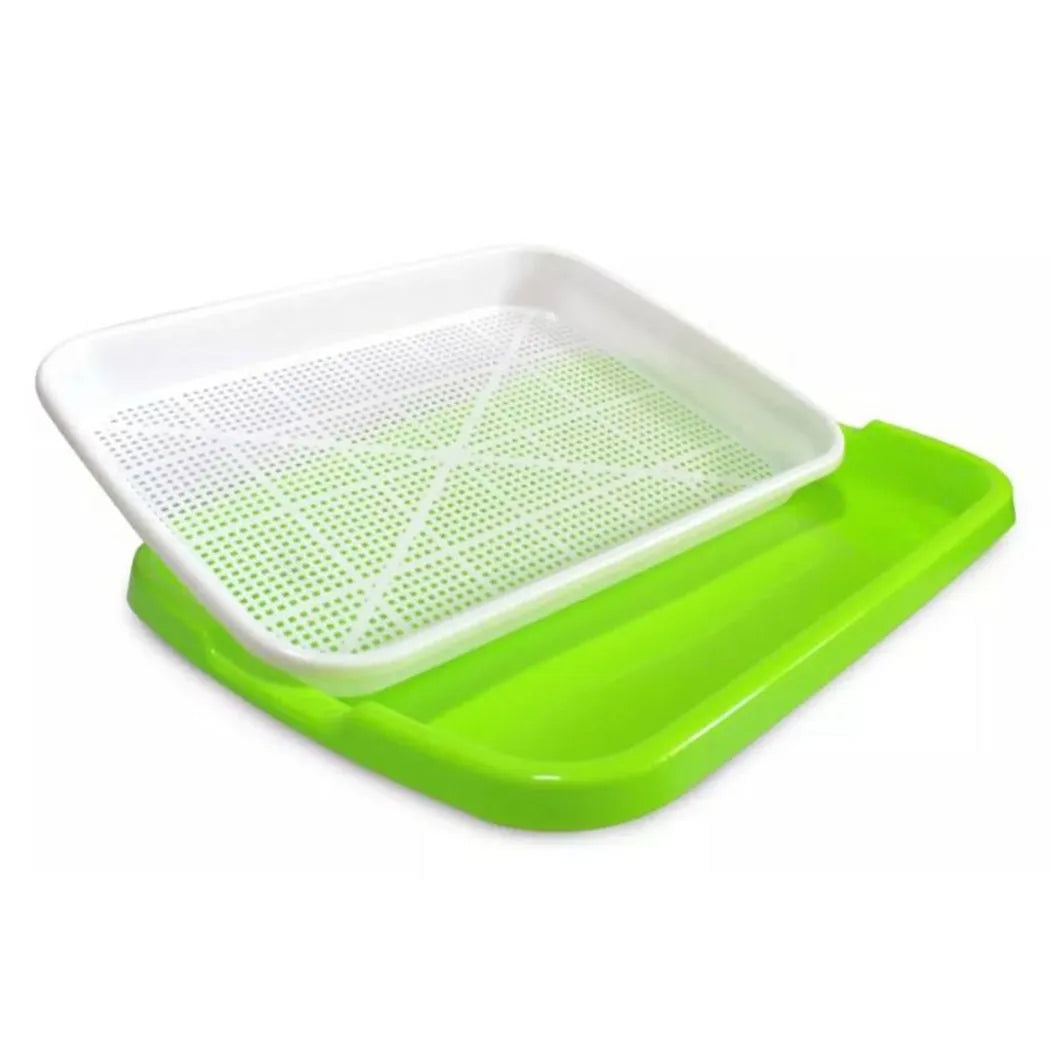 Bandeja de germinação para sistemas hidropônicos, ideal para cultivar sementes com eficiência, promovendo um crescimento saudável e acelerado das plantas.