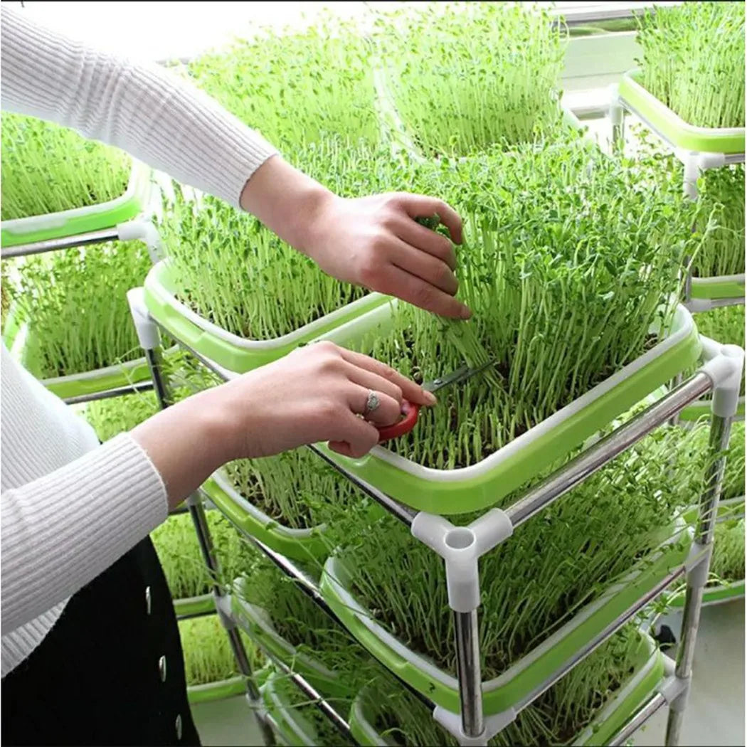 Bandeja de germinação para sistemas hidropônicos, ideal para cultivar sementes com eficiência, promovendo um crescimento saudável e acelerado das plantas.