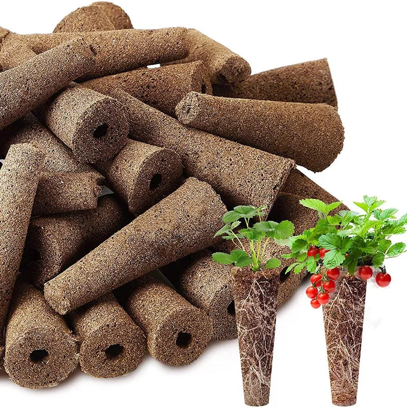 Espumas para Germinação de Sementes, ideais para promover um crescimento saudável. Estrutura leve que mantém a umidade e favorece a respiração das raízes.