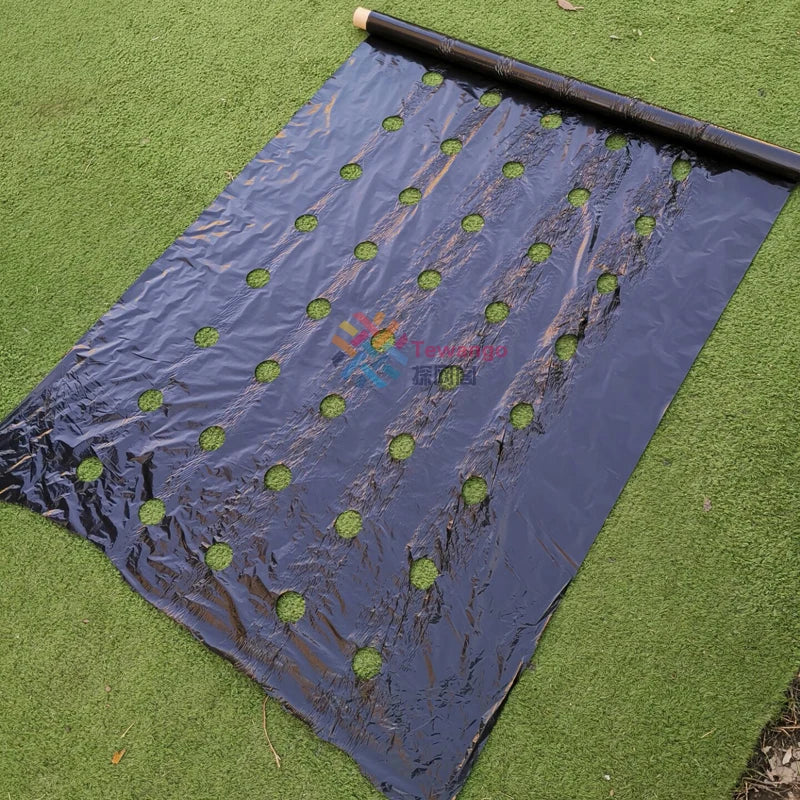 Mantenha seu jardim saudável e bem cuidado com o mulch. Ideal para controlar ervas daninhas e melhorar o crescimento das plantas.