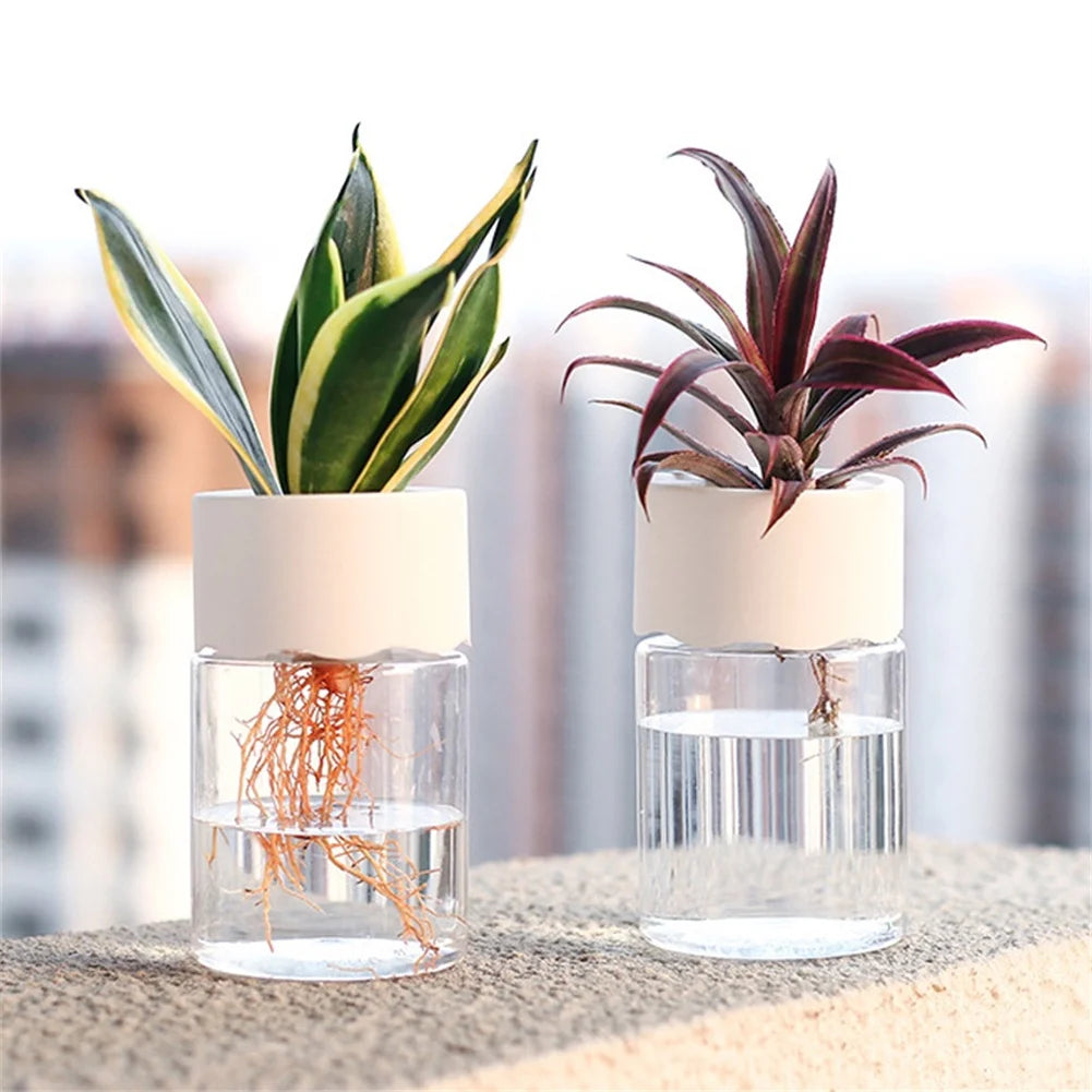 O Mini Vaso Hidropônico traz elegância à sua decoração com seu design em vidro transparente. Ideal para plantas sem solo, é fácil de cuidar e transforma qualquer ambiente!