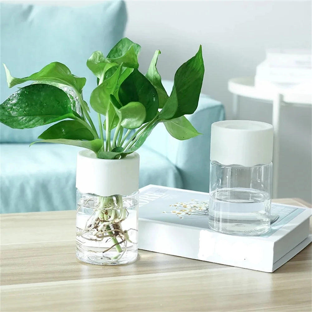 O Mini Vaso Hidropônico traz elegância à sua decoração com seu design em vidro transparente. Ideal para plantas sem solo, é fácil de cuidar e transforma qualquer ambiente!