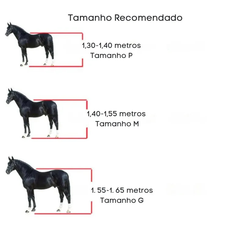 Protetor de Pernas para Cavalos - Conjunto Completo
