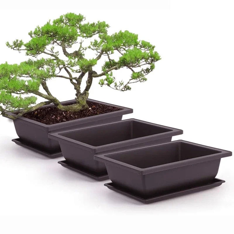 Vasos para Jardim Externo e Paisagismo, perfeitos para bonsais e suculentas, combinando durabilidade e estilo para embelezar ambientes ao ar livre